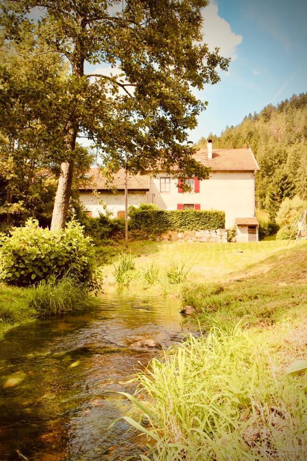 Gite De Charme Jusqu'A 14 Personnes, Proche Du Lac De 제라르메르 외부 사진